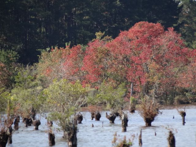 12346430_10207890197393907_5786934095081247013_n