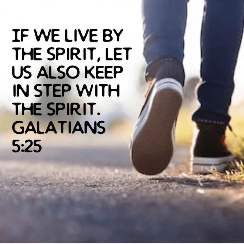 PNG image-B25C2AE93D1F-1